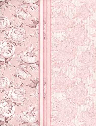 6809 Пионы роз.Обои дуплекс К-ПС (Туринск) (8) (фото)