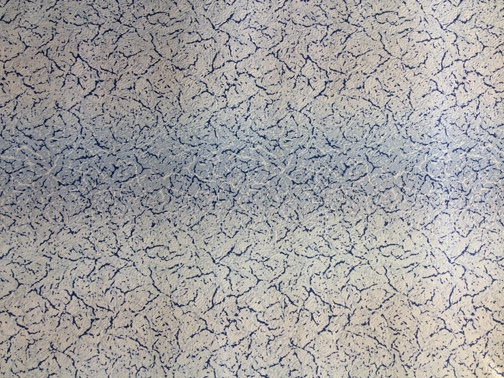 6905 Саванна гол.Обои дуплекс ДПС (Туринск) (8) (фото)