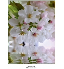 Яблоневый цвет фотообои Тула глянц.8л(200*260) (фото)