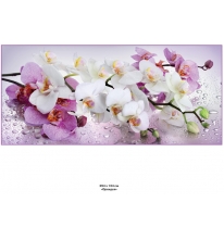 Орхидея фотообои Тула глянц.6л(294*134) (фото)