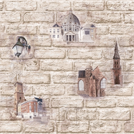 Нарва 2 (Д542-02) Обои дуплекс Сар."Olimp" (фото)